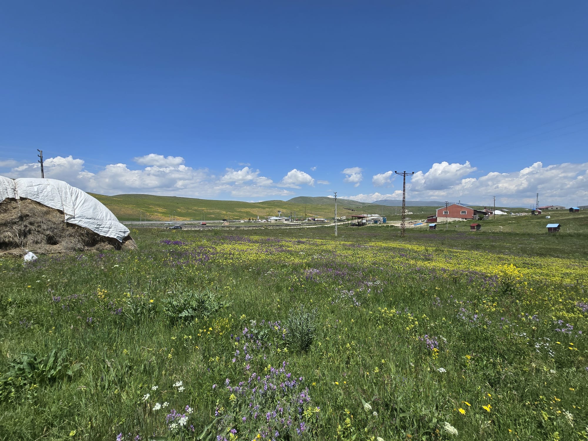 MABEL'DEN NENEHATUN'DA SATILIK ARAZİ VE BAĞEVİ